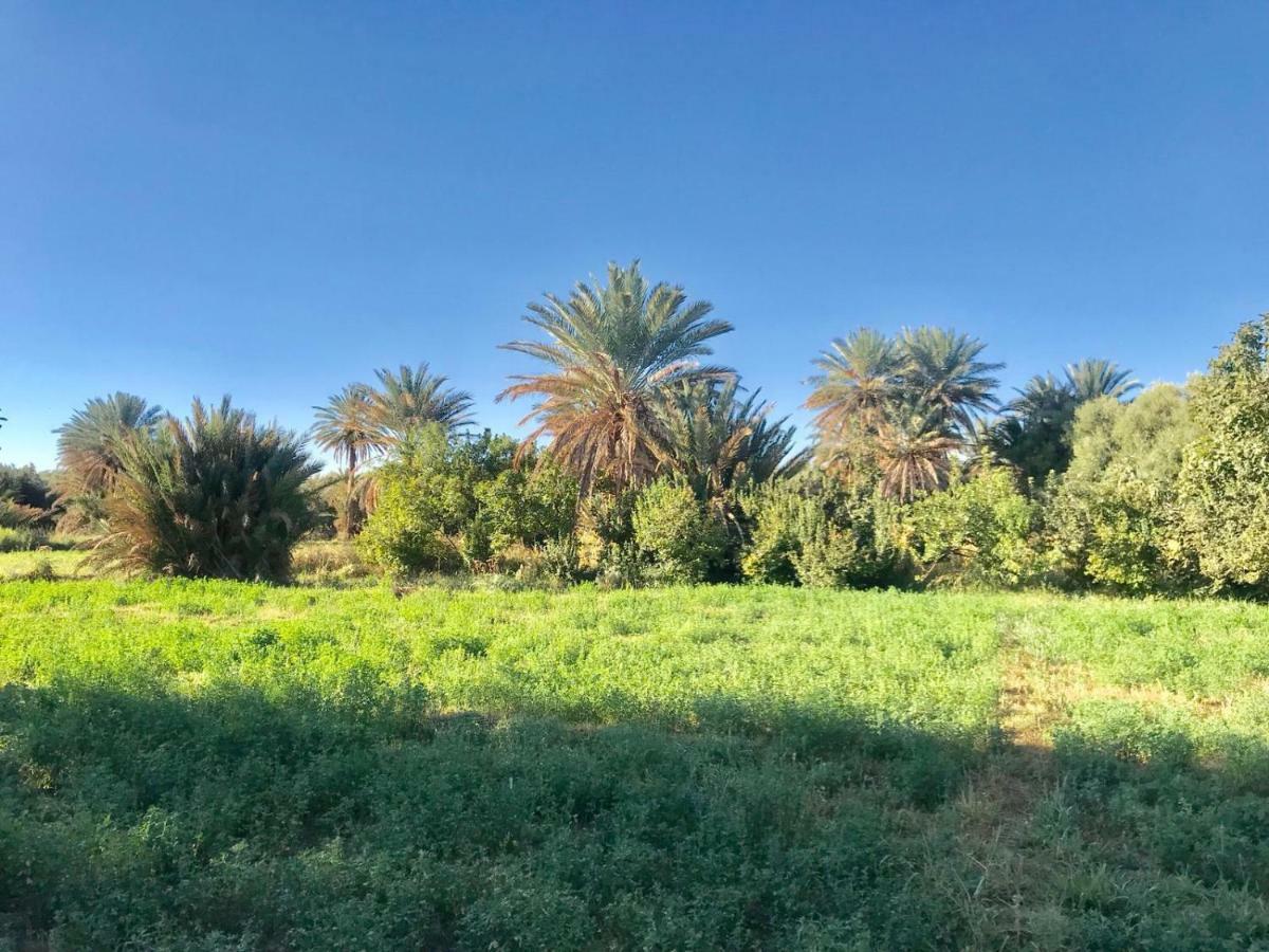 Ecologie Oasis Tafilalt Chez L' Habitant Otel Errachidia Dış mekan fotoğraf